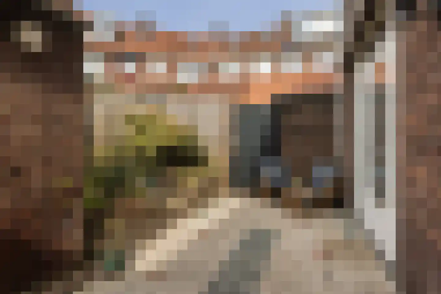 Frederik van Eedenstraat 61 Arnhem thumbnail 33