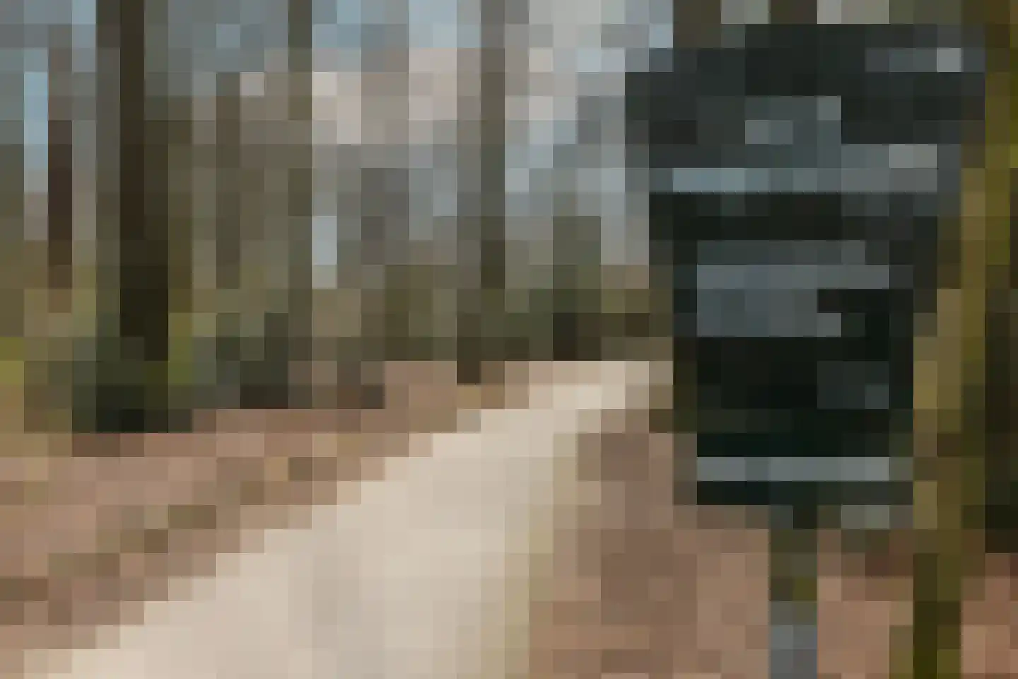 Frederik van Eedenstraat 61 Arnhem thumbnail 36