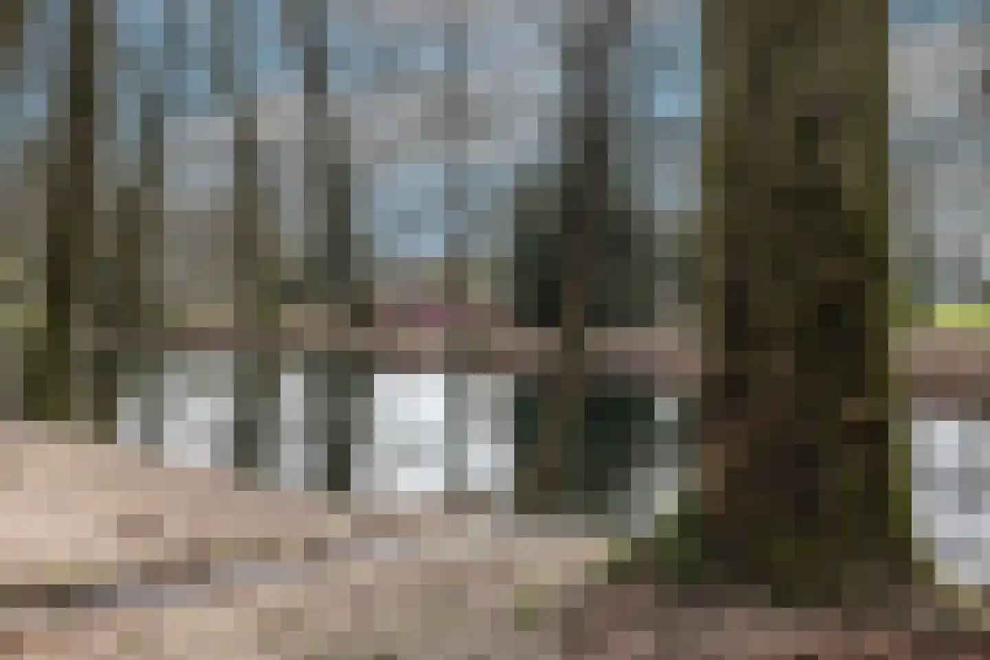 Frederik van Eedenstraat 61 Arnhem thumbnail 37