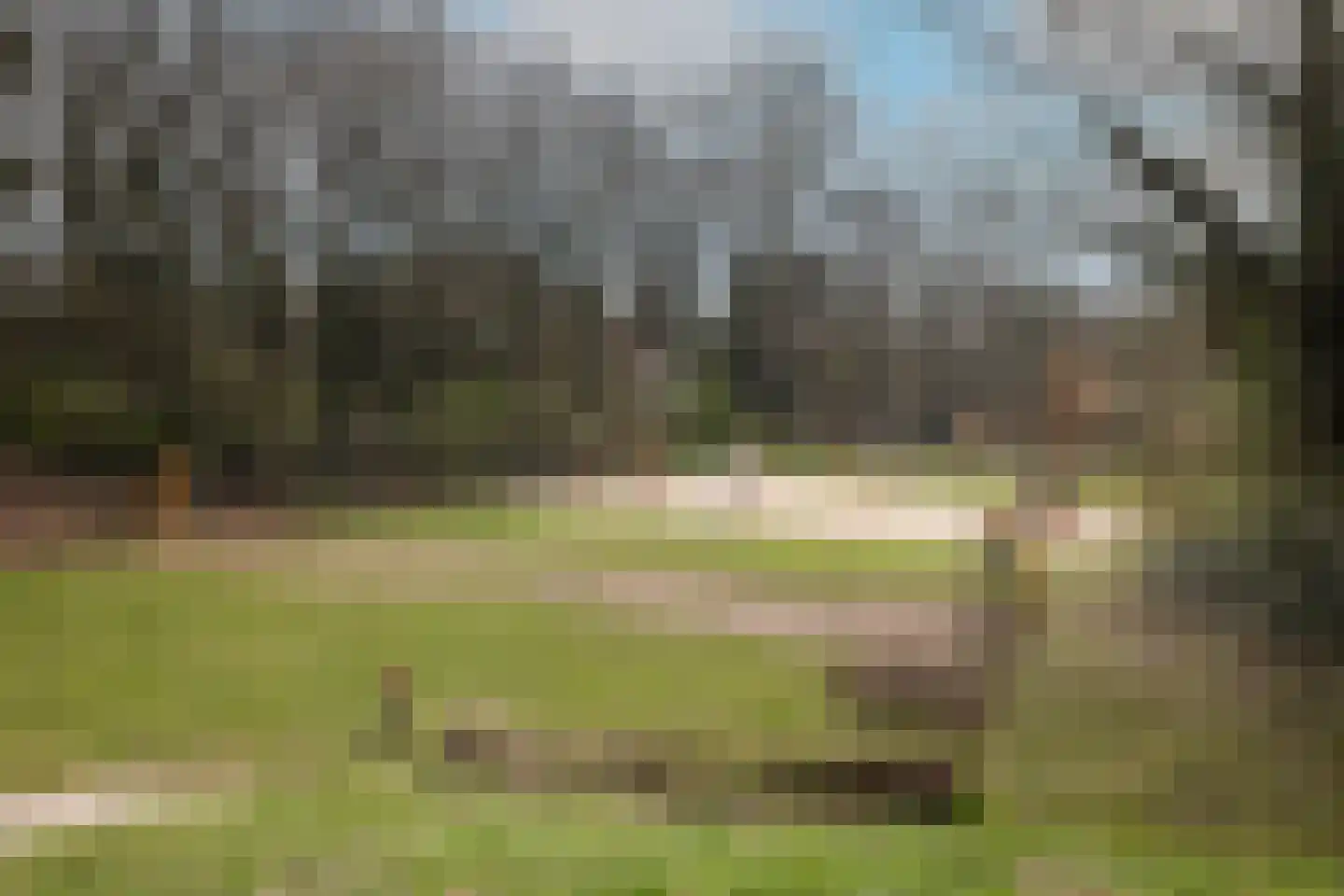 Frederik van Eedenstraat 61 Arnhem thumbnail 4