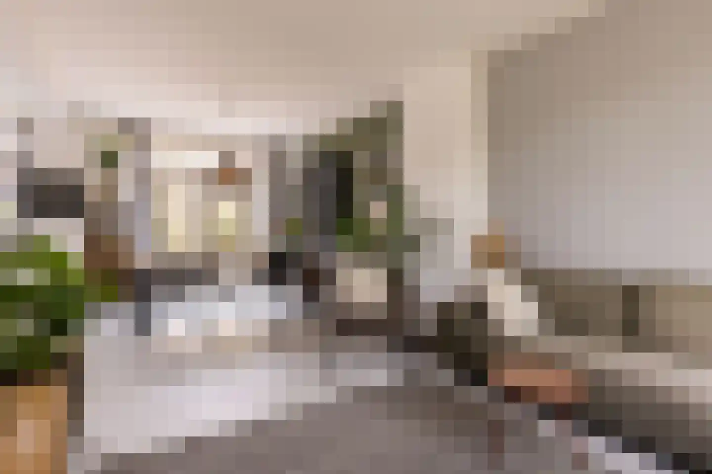 Frederik van Eedenstraat 61 Arnhem thumbnail 7