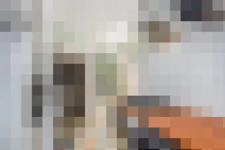 Frederik van Eedenstraat 66 Voorburg thumbnail 22