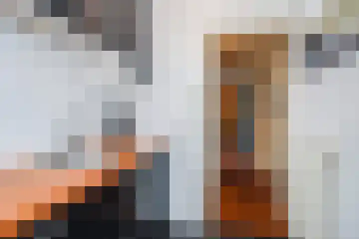 Frederik van Eedenstraat 66 Voorburg thumbnail 24