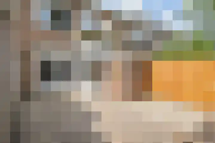 Frederik van Eedenstraat 66 Voorburg thumbnail 30