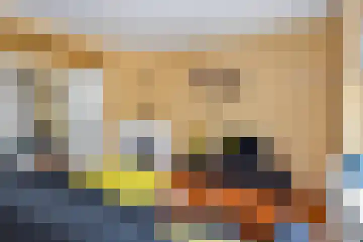 Frederik van Eedenstraat 66 Voorburg thumbnail 6