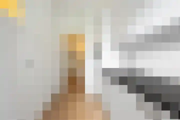 Frederik van Eedenstraat 7 A Rotterdam thumbnail 8