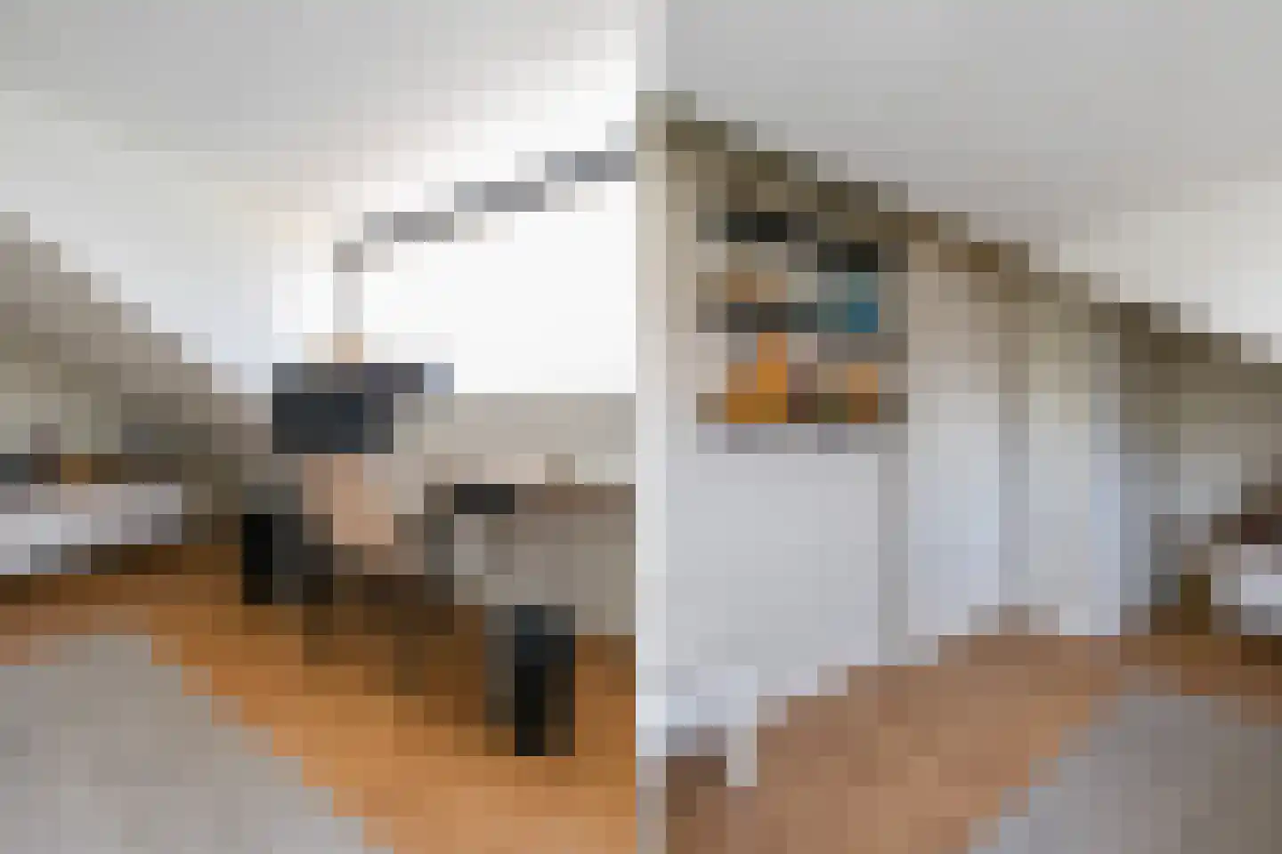 Frederik van Eedenstraat 70 Voorburg thumbnail 29