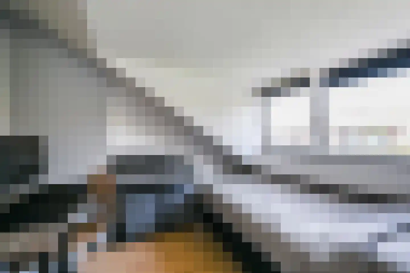 Frederik van Eedenstraat 70 Voorburg thumbnail 30