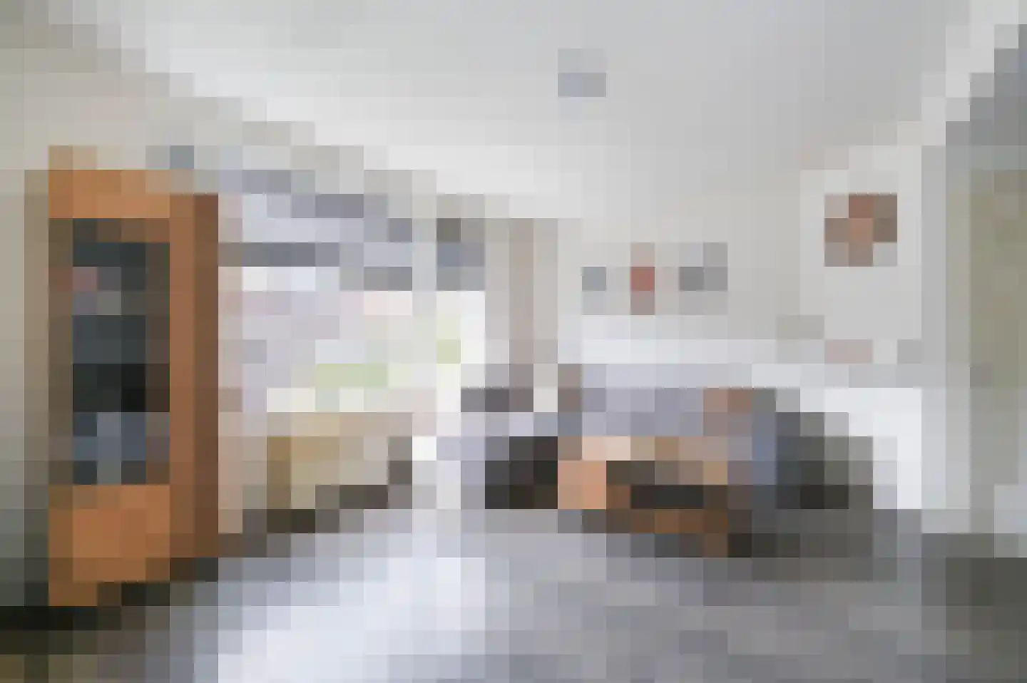 Frederik van Eedenstraat 70 Voorburg thumbnail 9