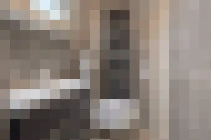 Frederik van Eedenstraat 78 Oldenzaal thumbnail 20