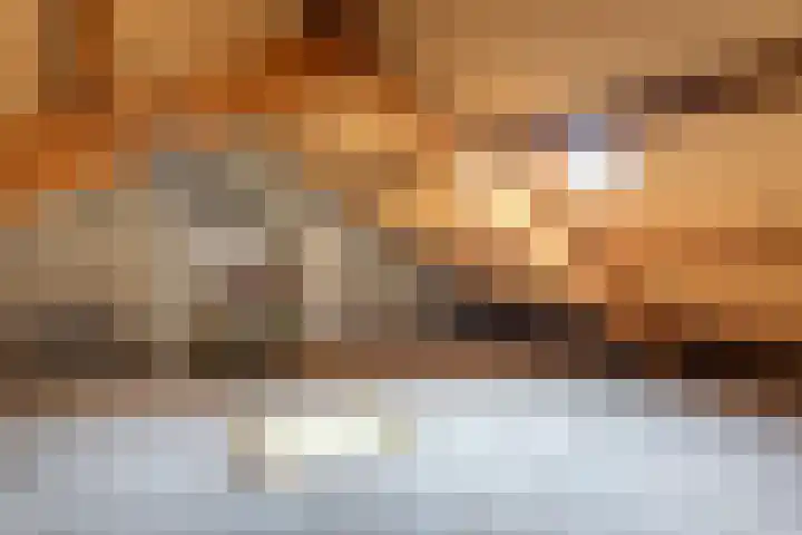 Frederik van Eedenstraat 78 Oldenzaal thumbnail 21