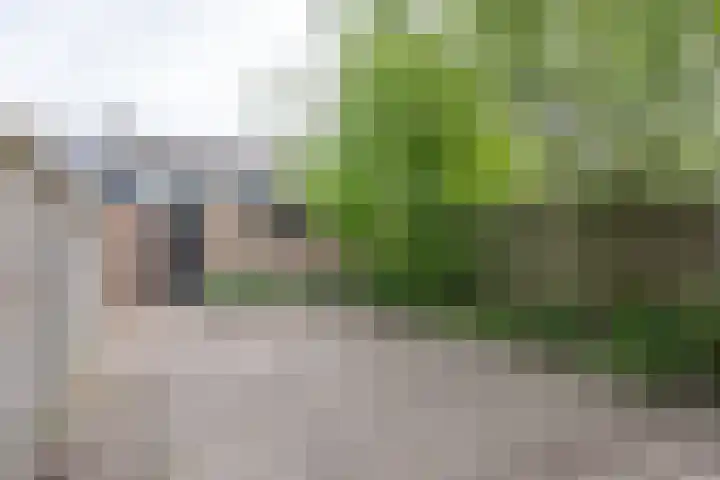 Frederik van Eedenstraat 78 Oldenzaal thumbnail 24