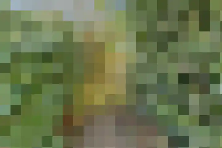 Frederik van Eedenstraat 79 Voorburg thumbnail 26