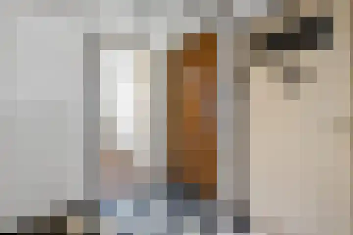 Frederik van Eedenstraat 79 Voorburg thumbnail 5