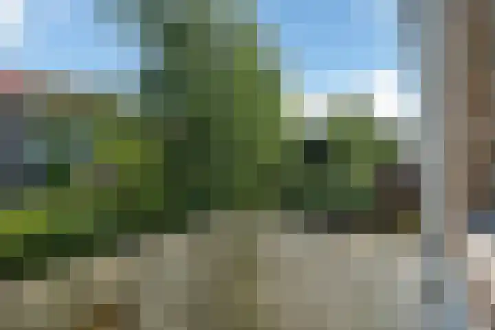 Frederik van Eedenstraat 84 Voorburg thumbnail 18