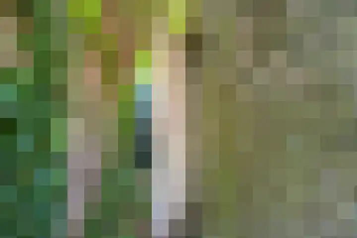 Frederik van Eedenstraat 84 Voorburg thumbnail 31