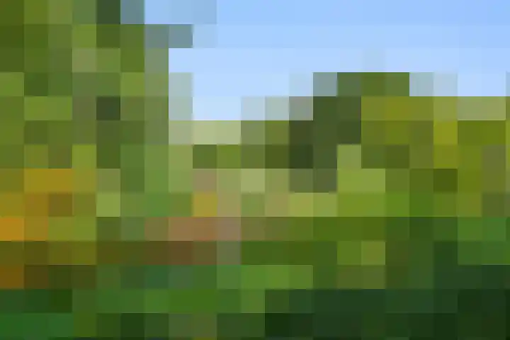 Frederik van Eedenstraat 84 Voorburg thumbnail 32