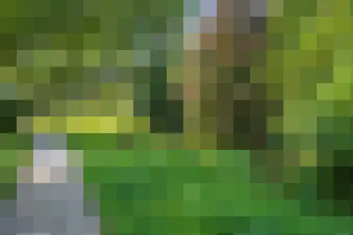 Frederik van Eedenstraat 84 Voorburg thumbnail 34