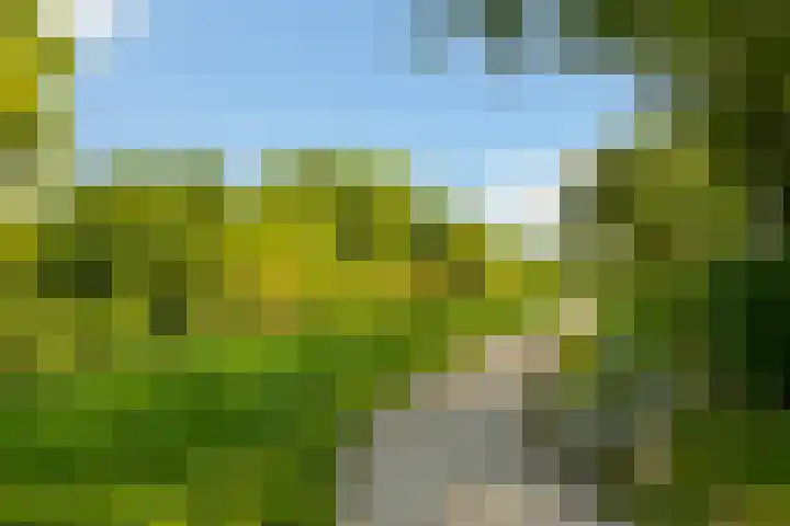 Frederik van Eedenstraat 84 Voorburg thumbnail 35