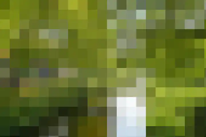 Frederik van Eedenstraat 84 Voorburg thumbnail 36