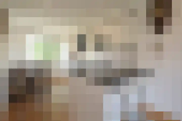 Frederik van Eedenstraat 84 Voorburg thumbnail 9