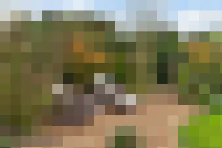 Frederik van Eedenweg 83 Almere thumbnail 24