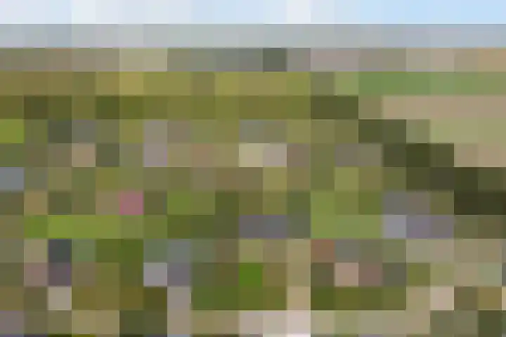 Frederik van Eedenweg 83 Almere thumbnail 52