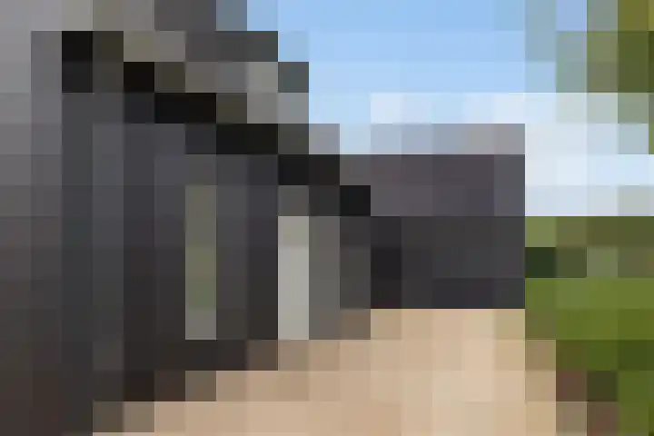 Frederik van Eedenweg 83 Almere thumbnail 54