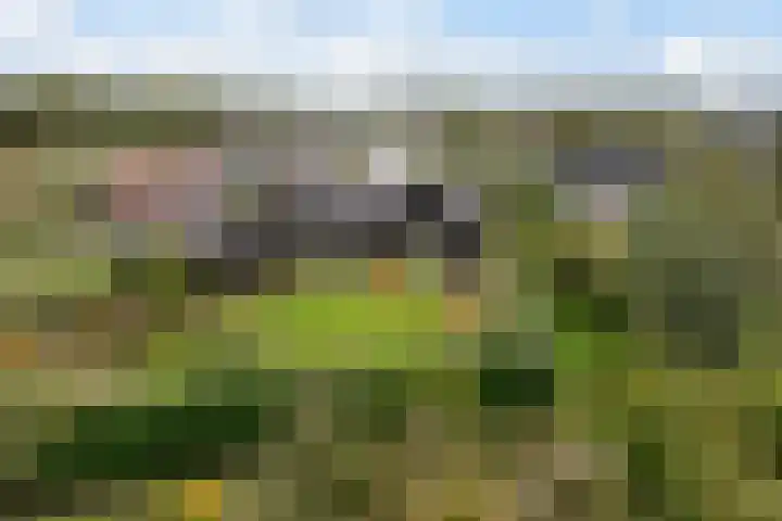 Frederik van Eedenweg 83 Almere thumbnail 57
