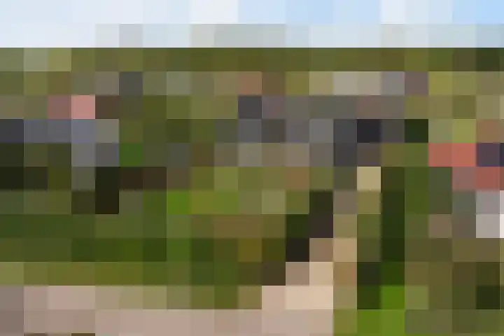 Frederik van Eedenweg 83 Almere thumbnail 58