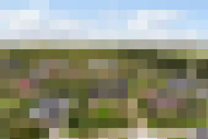 Frederik van Eedenweg 83 Almere thumbnail 59
