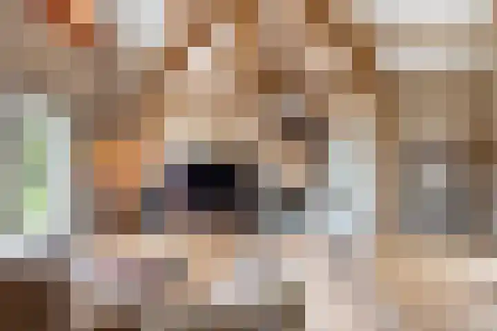 Frederik van Eedenweg 83 Almere thumbnail 8
