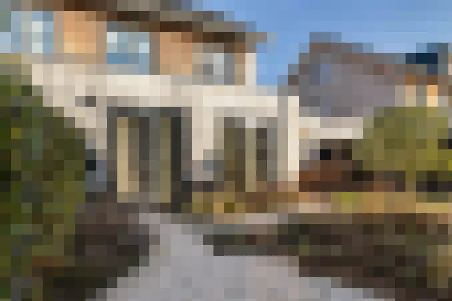 Frederika Meyboomhof 7 Dordrecht thumbnail 35