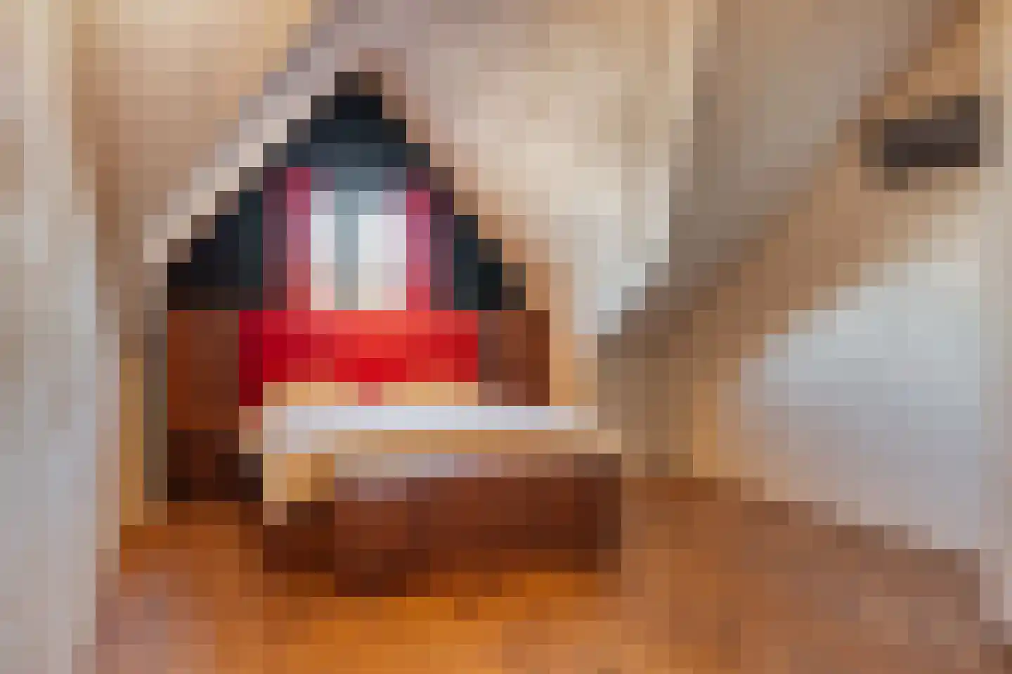 Frederika Meyboomhof 7 Dordrecht thumbnail 46