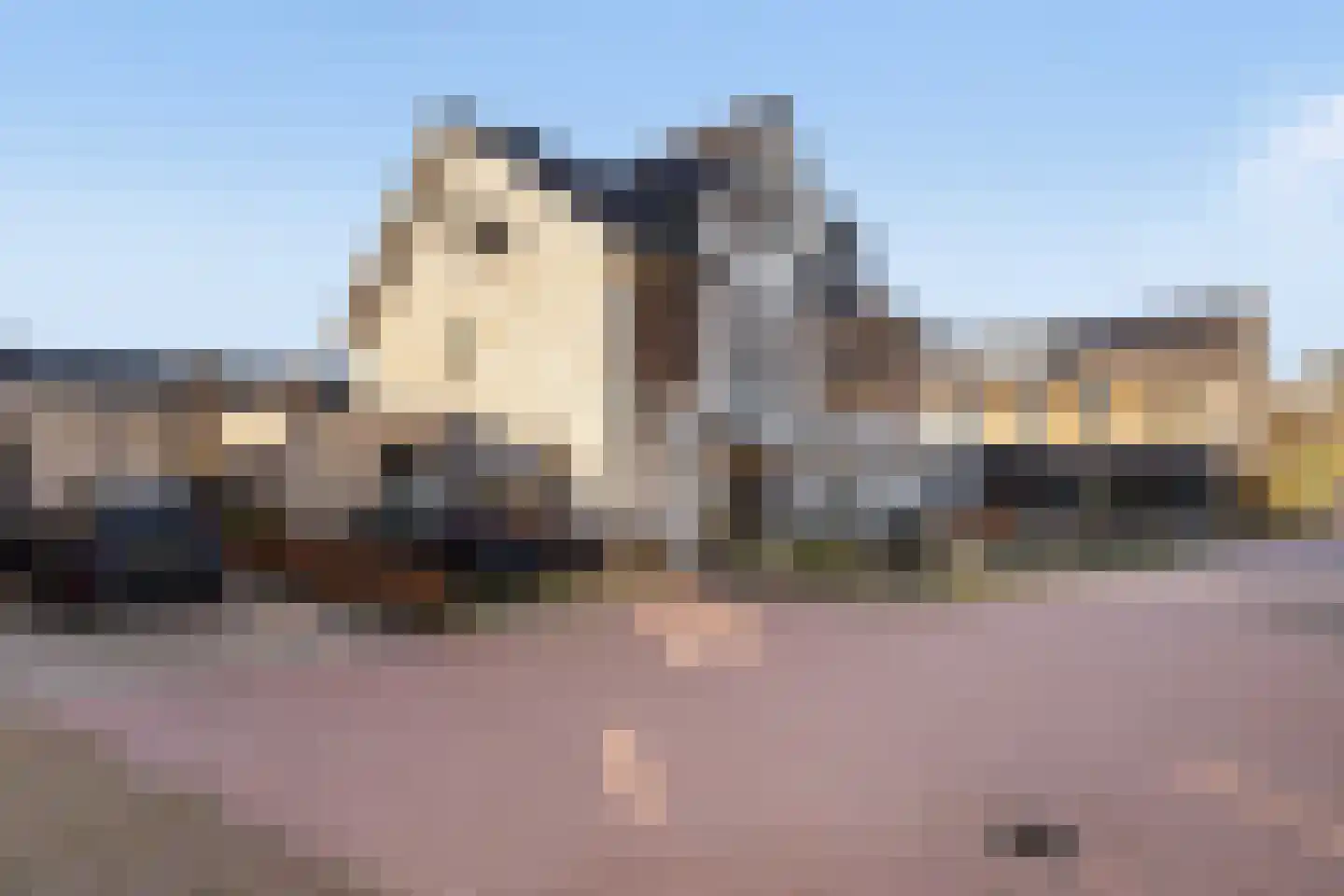 Frederika Meyboomhof 7 Dordrecht thumbnail 6