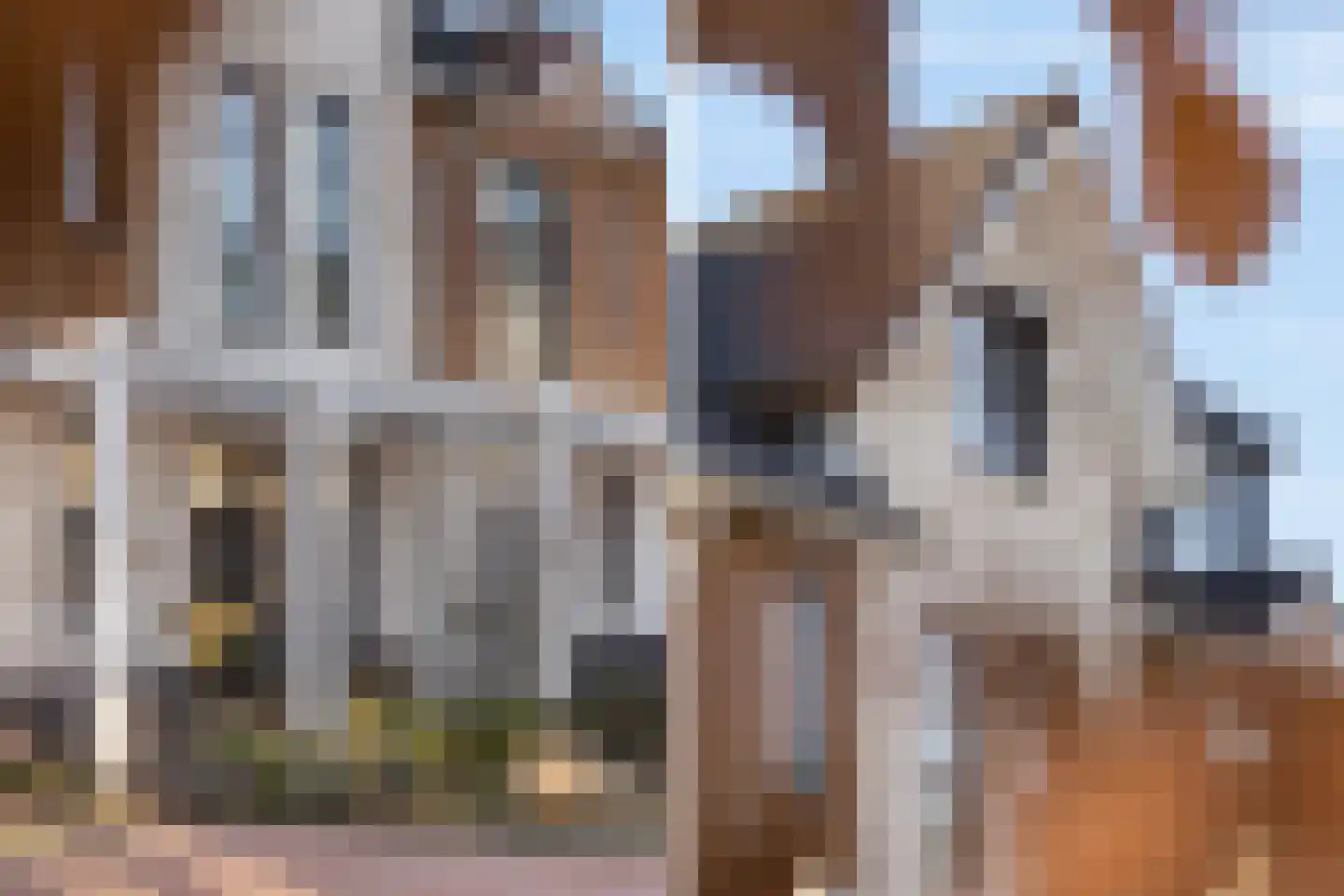Frederika Meyboomhof 7 Dordrecht thumbnail 7