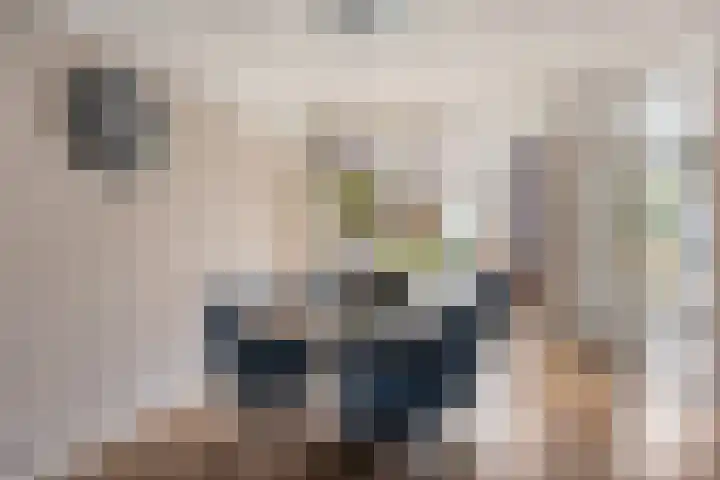 Frederika van Pruisenweg 8 Eindhoven thumbnail 10
