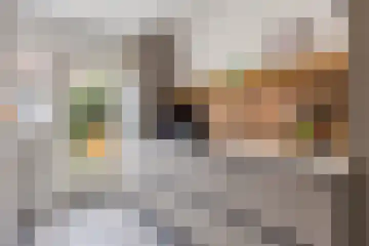 Frederika van Pruisenweg 8 Eindhoven thumbnail 18