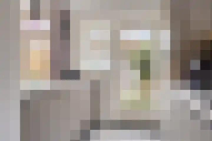 Frederika van Pruisenweg 8 Eindhoven thumbnail 19