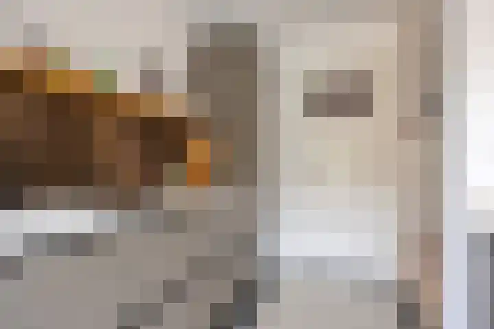 Frederika van Pruisenweg 8 Eindhoven thumbnail 20
