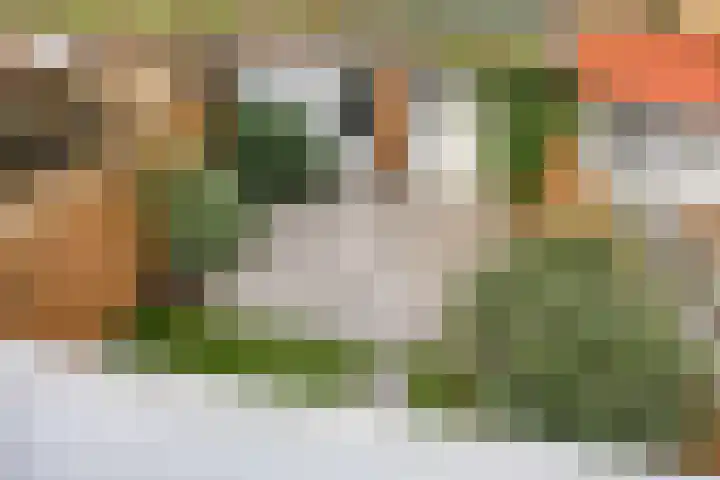 Frederika van Pruisenweg 8 Eindhoven thumbnail 28