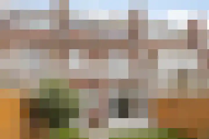 Frederika van Pruisenweg 8 Eindhoven thumbnail 49