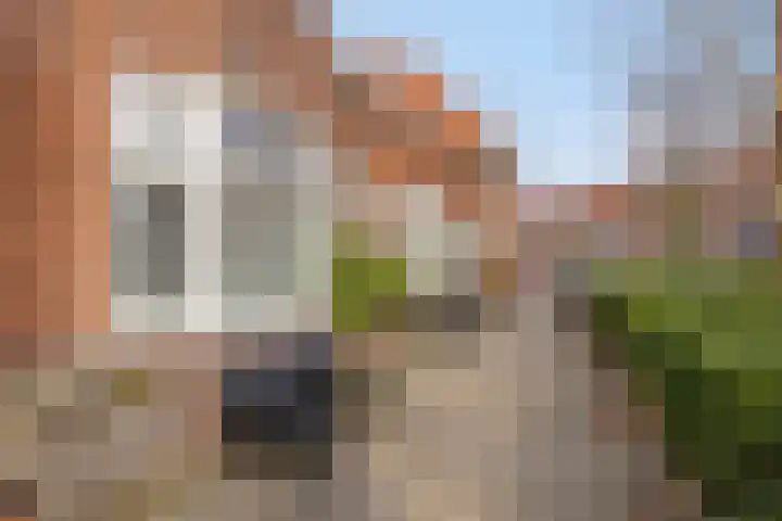 Frederika van Pruisenweg 8 Eindhoven thumbnail 50