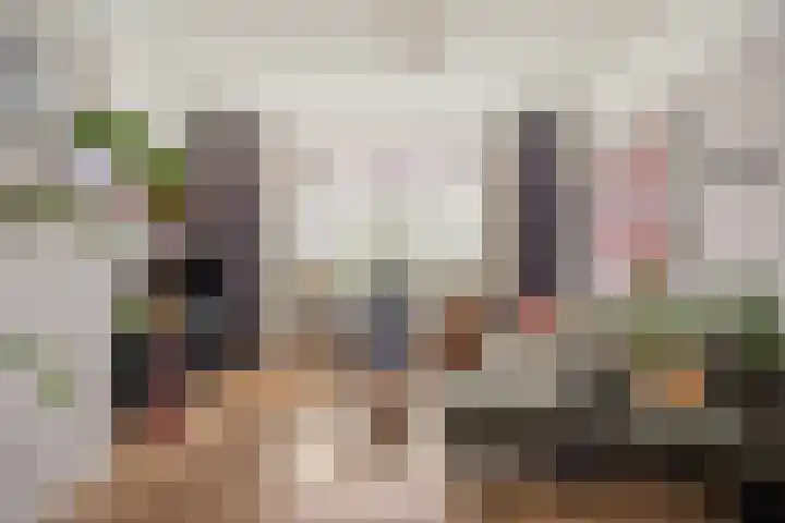 Frederika van Pruisenweg 8 Eindhoven thumbnail 8