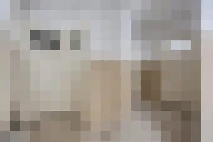 Frederikbastion 17 A Maastricht thumbnail 10
