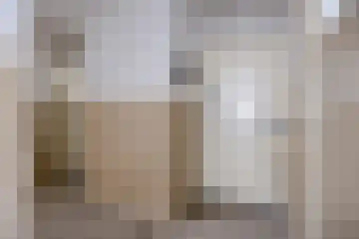 Frederikbastion 17 A Maastricht thumbnail 8