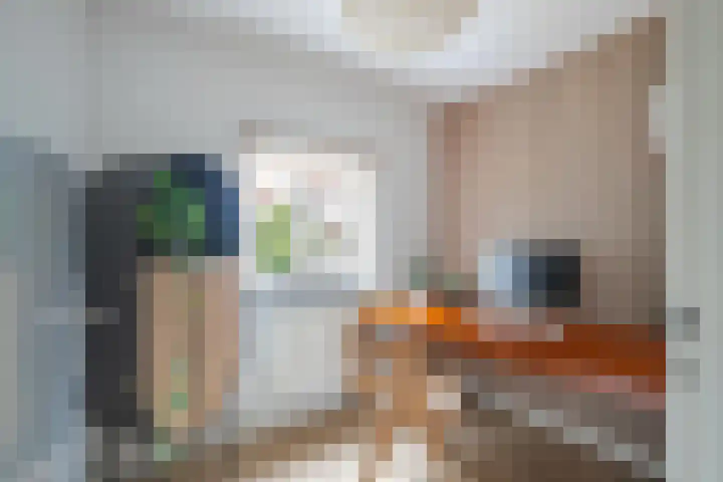 Frederikbastion 66 Maastricht thumbnail 12
