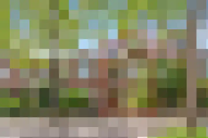 Frederiklaan 10 Rijswijk