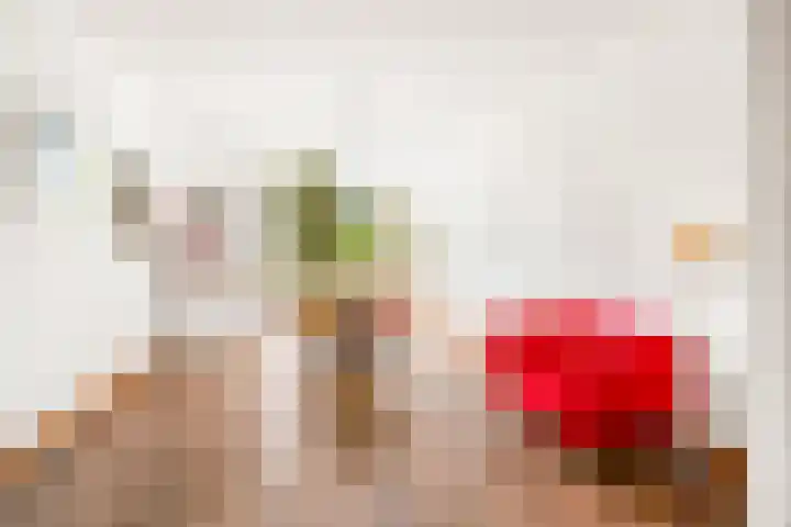 Frederiklaan 10 Rijswijk thumbnail 11