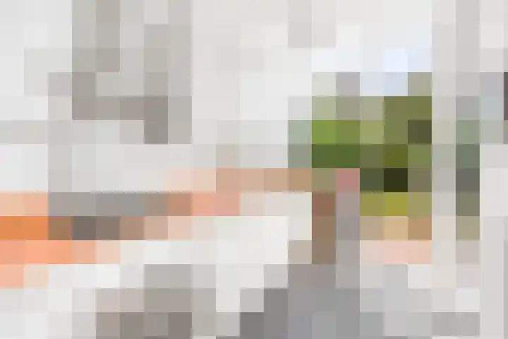 Frederiklaan 10 Rijswijk thumbnail 13